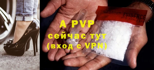 шишки Лабытнанги