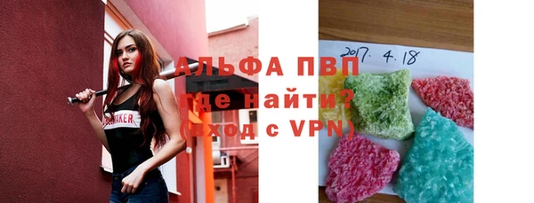 шишки Лабытнанги