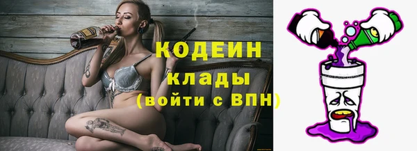 шишки Лагань