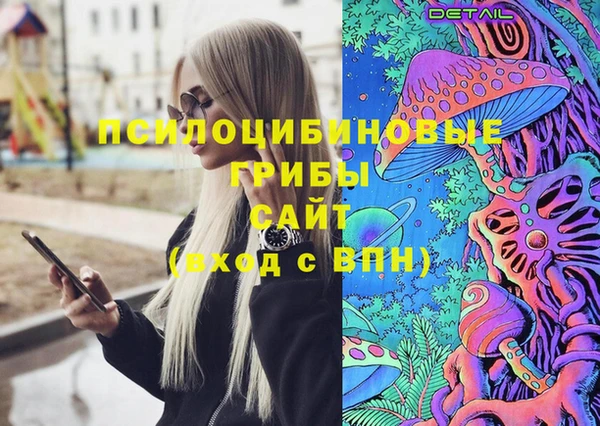 шишки Лагань