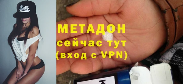 шишки Лабытнанги