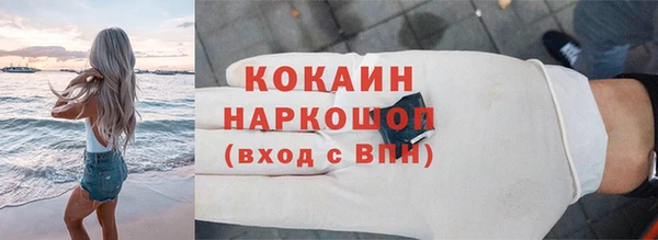 шишки Лабытнанги