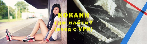 шишки Лагань