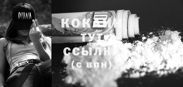шишки Лагань