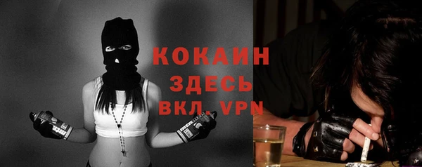 шишки Лабытнанги
