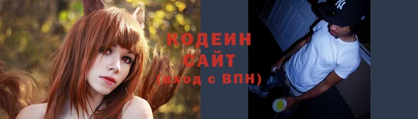 шишки Лабытнанги
