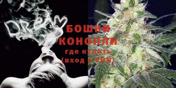 шишки Лабытнанги