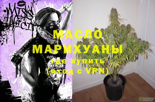 шишки Лабытнанги