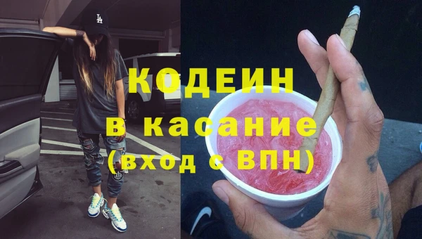 шишки Лагань