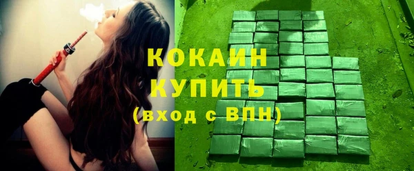 шишки Лагань
