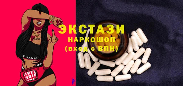 шишки Лабытнанги