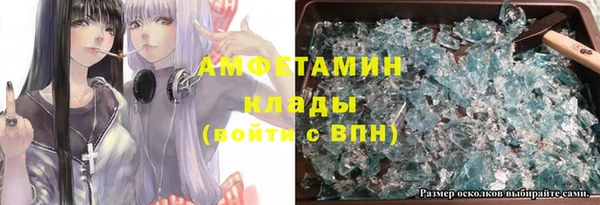 шишки Лабытнанги