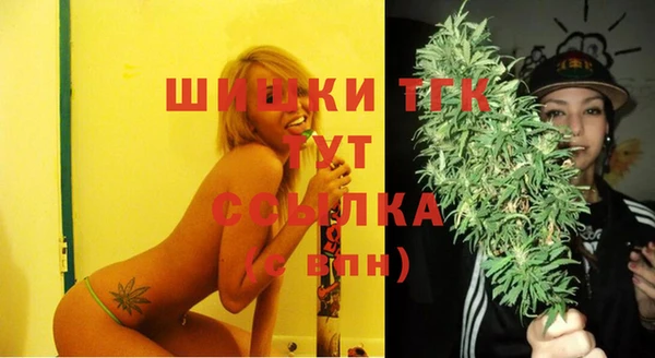 шишки Лагань
